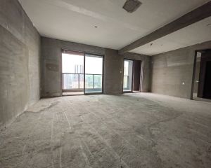 台江万达2022年11月新房,电梯4房高层视野可看断江
